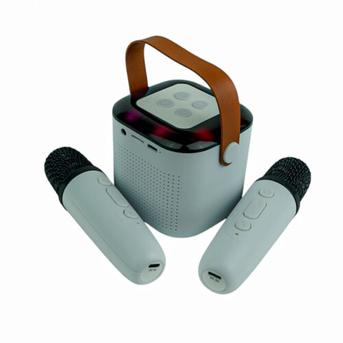 Altavoz Bluetooth inalámbrico portátil, con micrófono dual